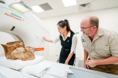 Queensland X-Ray | Medical Imaging Experts & Radiologists